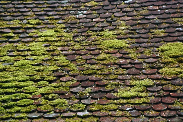 Modderige tegel op het dak — Stockfoto