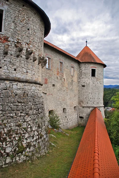 Zuzunberk castle - Slovenia — Stock Photo, Image