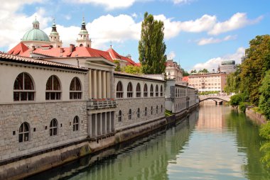 Market arcade and Ljubljanica river at Ljubljana clipart