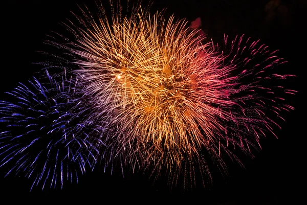 stock image Colorful Fireworks in the night sky