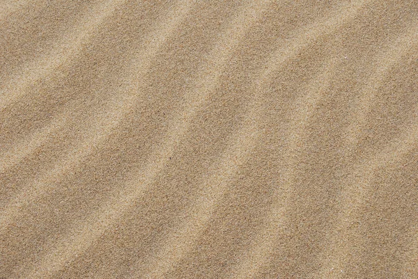 Адриатический пляж Пескары в солнечный день — стоковое фото