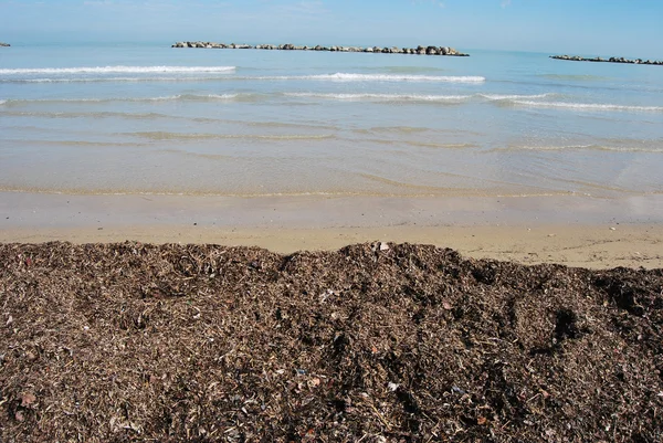 Der adriatische strand von pescara an einem sonnigen tag — Stockfoto