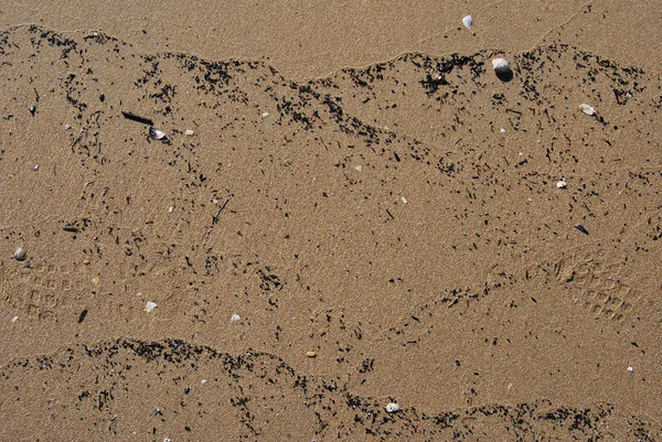 晴れた日でペスカーラのアドリア海ビーチ — ストック写真
