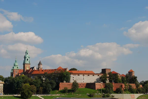 Вавельський замок у Кракові, на полі, на євро. — стокове фото