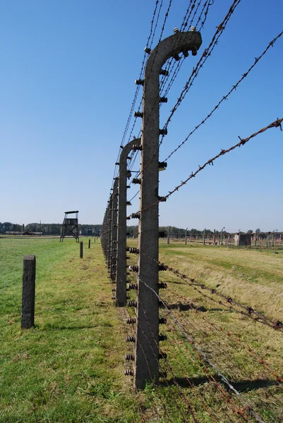 stock image Freedom and prison