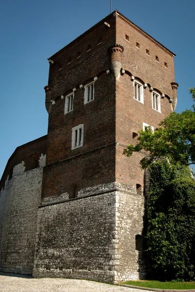 Wawel kastély Krakow, Lengyelország, Európa — Stock Fotó