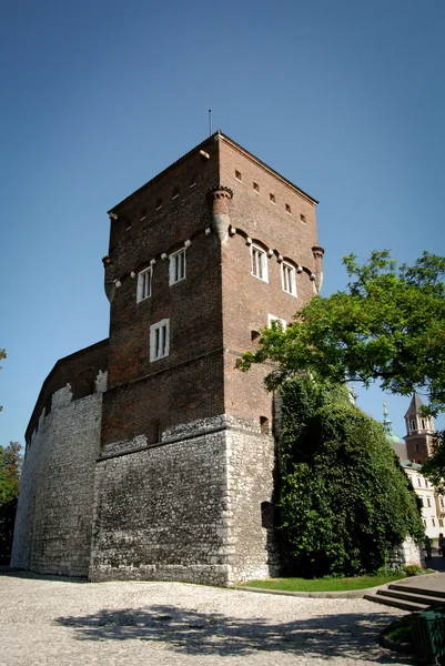 O castelo wawel em krakow, polônia, europa — Fotografia de Stock