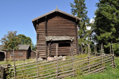 Stokoli