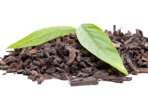 Tè Puerh e foglie di tè fresco Fotografia Stock