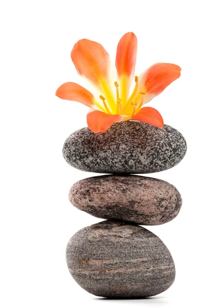 A beautiful flower on a top of the stone tower — Stock Photo, Image