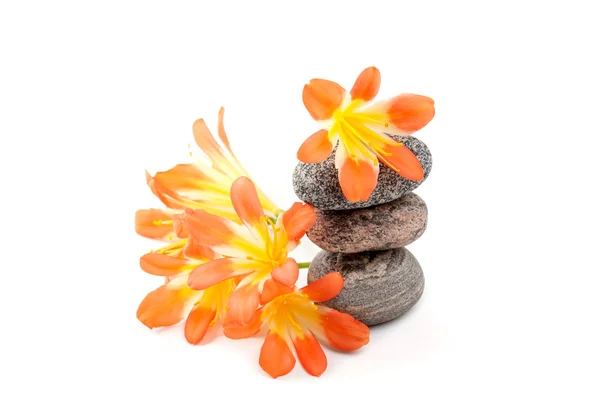 A beautiful flowers with a stone tower — Stock Photo, Image