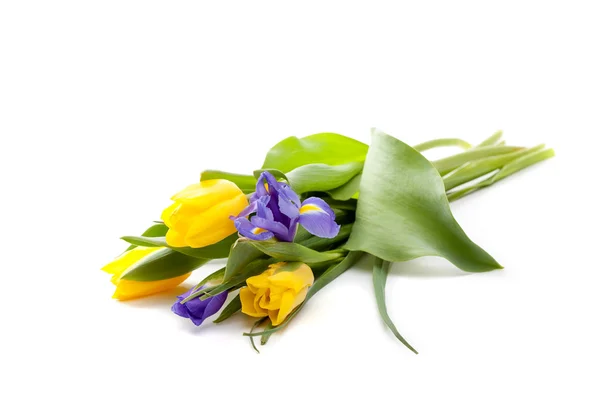 Haufen schöner gelber Tulpen und Schwertlilien — Stockfoto
