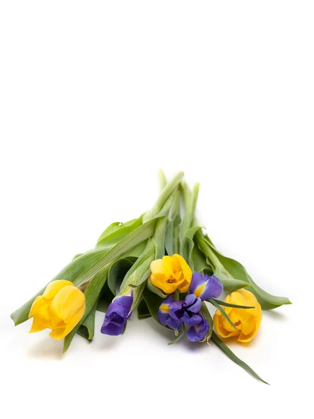 Ramo de hermosos tulipanes amarillos e iris —  Fotos de Stock