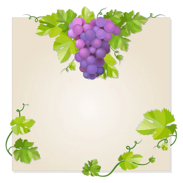 Чёрный виноград — стоковый вектор