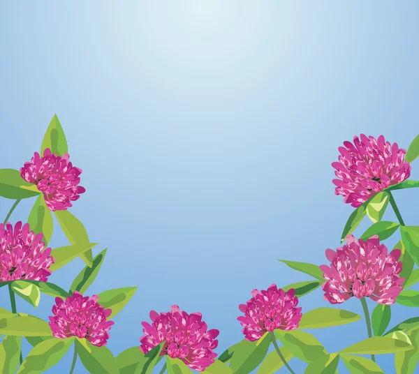 Achtergrond met klaver bloemen — Stockvector