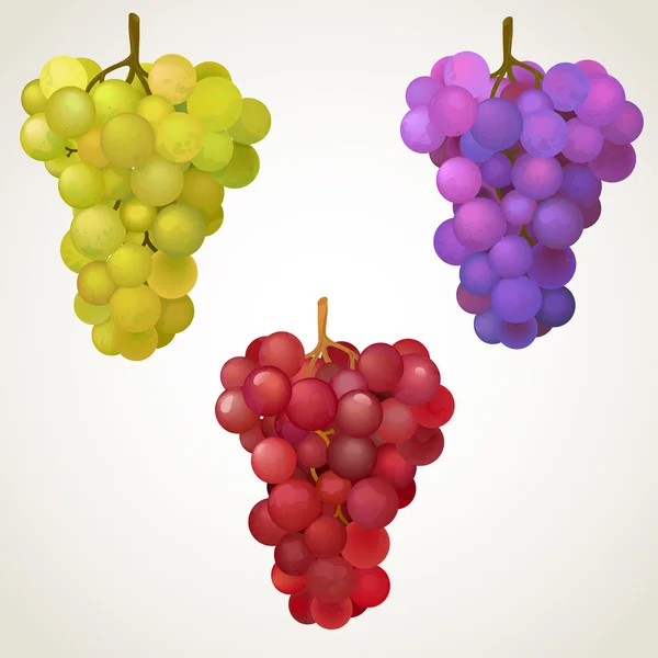 Tres racimos de uva — Vector de stock