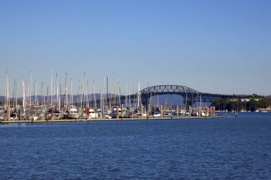 Auckland harbour Köprüsü