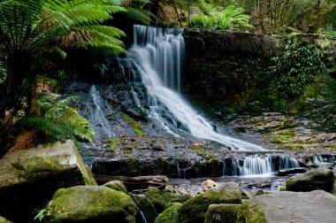 Waterfall in deep forest clipart