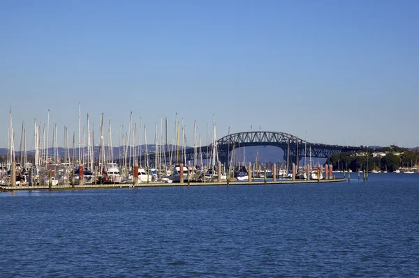 Auckland harbour Köprüsü