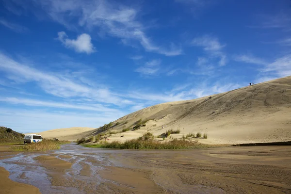 Dune yatılı