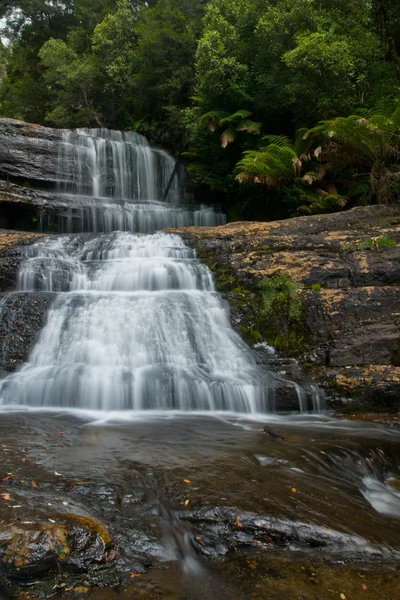 stock image Waterfall in deep forest