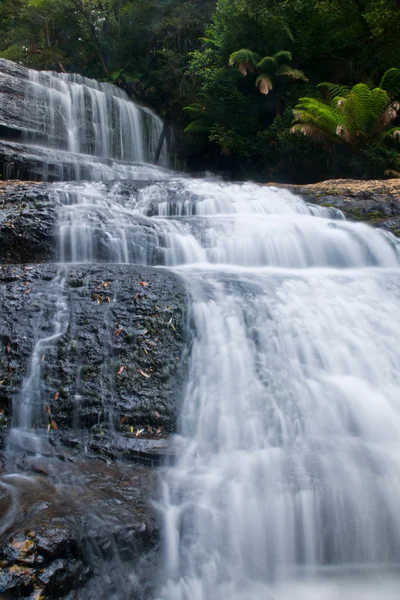 stock image Waterfall in deep forest