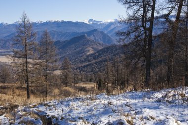 Altay Dağları'nda ilk kar