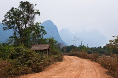 Canopy beside the Lao road clipart