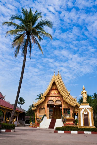 stock image Golden Buddhist temple with the palm