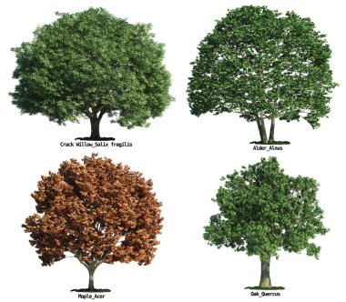 Set of trees isolated on white clipart