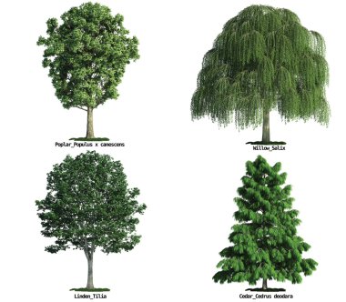 Set of trees isolated on white clipart