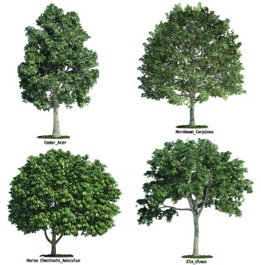 Set of four trees isolated against pure white clipart