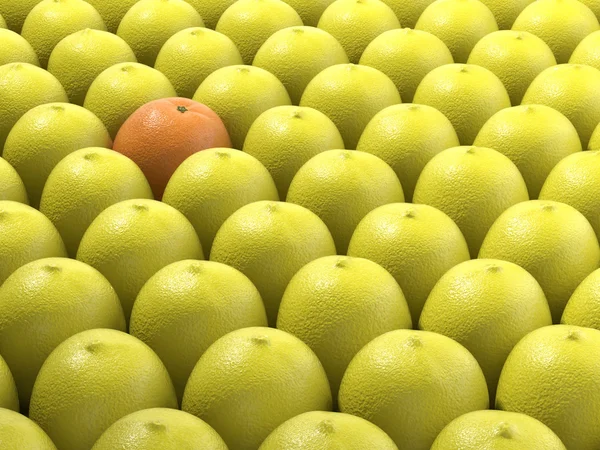 Egyedi narancs között sok citrom — Stock Fotó