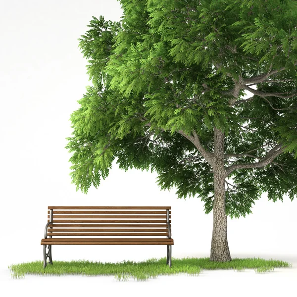 Изолированная скамейка под деревом — стоковое фото