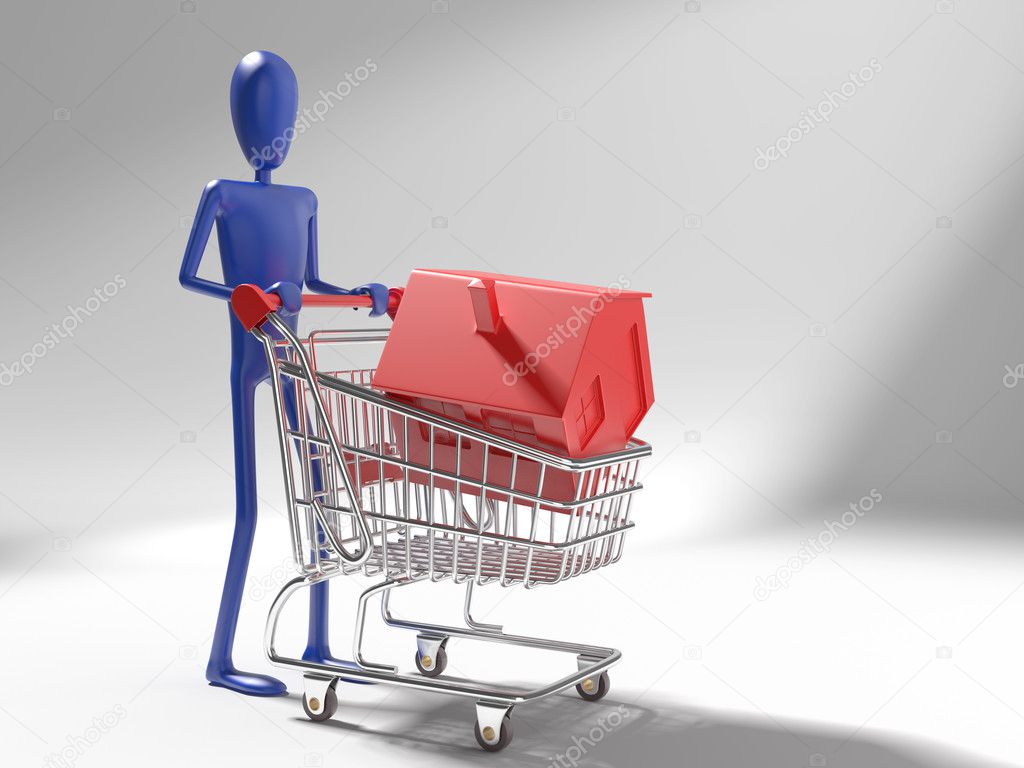 Dummy with house on shopping cart