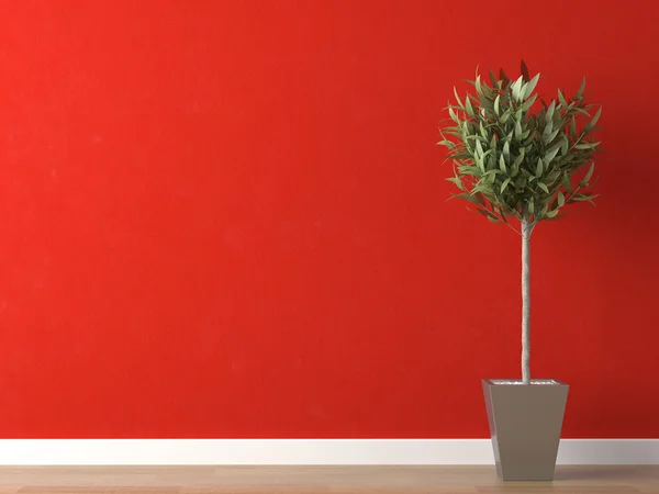 Detail van de plant op de rode muur — Stockfoto