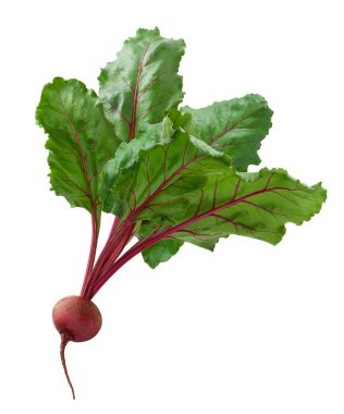 Beet isolated on white clipart