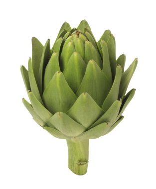 Artichoke isolated on white clipart