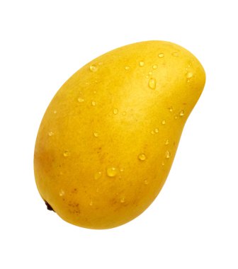 Ataulfo Mango isolated with a clipping path clipart
