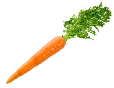 Carrot isolated on white clipart