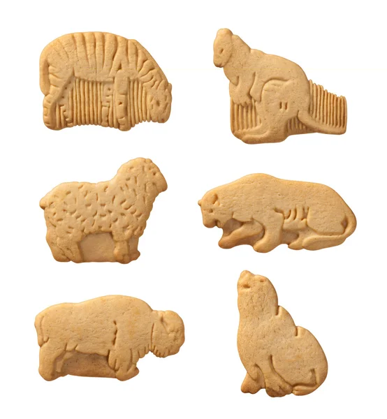 Biscoitos de animais isolados com um caminho de recorte — Fotografia de Stock
