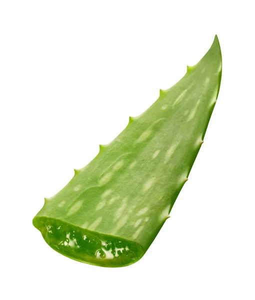 Aloe izolovaných na bílém pozadí — Stock fotografie
