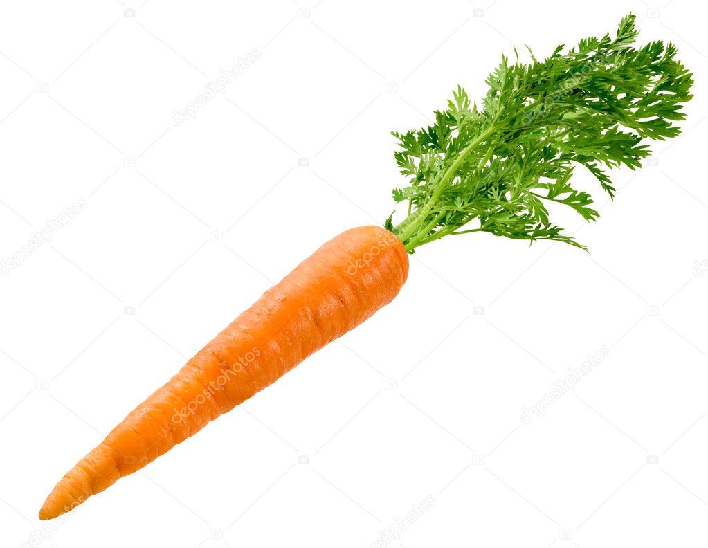 Морковка программа скачать