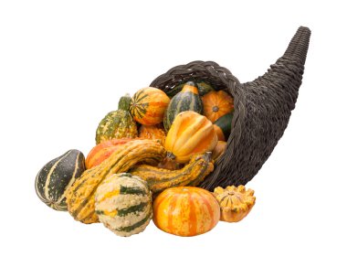 Cornucopia Gourds isolated with clipping path clipart