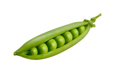 Pea Pod Isolated on White clipart