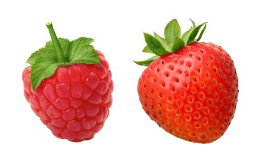 Raspberry & Strawberry isolated on white clipart