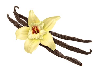 Vanilla Bean and Flower (clipping path) clipart