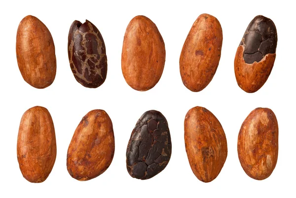 Kakaobönor isolerad på vitt med en urklippsbana — Stockfoto