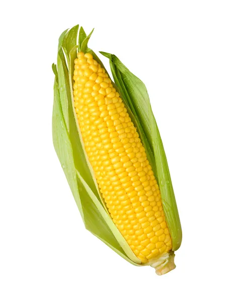 Oreja de maíz aislada en blanco — Foto de Stock