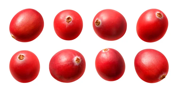 Cranberries isolado em um fundo branco — Fotografia de Stock